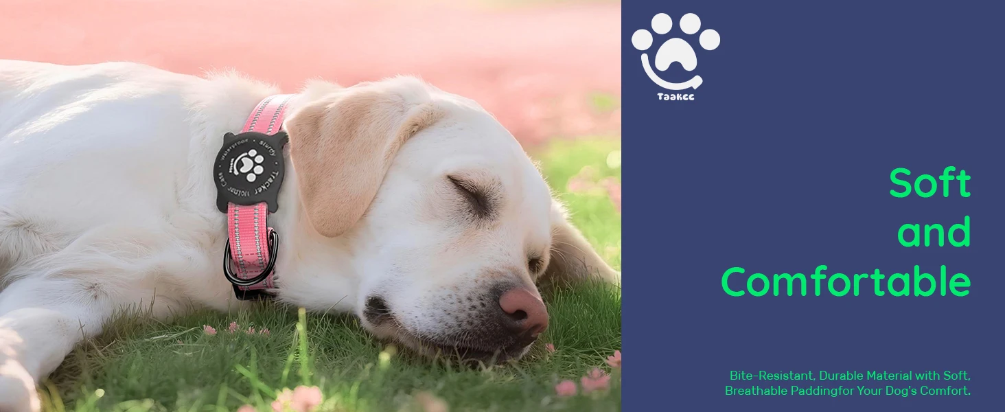 Taakcc Reflektierendes Hundehalsband mit Leuchtendem AirTag-Halter, Wasserdicht, Weich Gepolstert & Sicherheitsschnalle, AirTag-Tracker-Hülle für Halsbänder – Detail 2