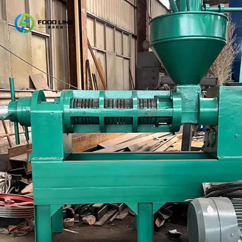 Customized Industrial Cold Press Oil Press Machine Commercial Coconut Oil Extractor