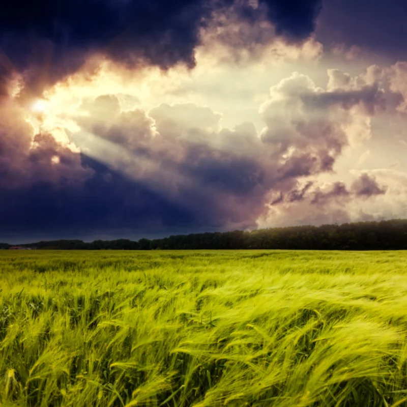 

Комплект передней и задней стабилизации поперечной устойчивости SLF311 для Trxs 4X4 Slash Stampede Rustler Rally, детали для обновления радиоуправляемого автомобиля