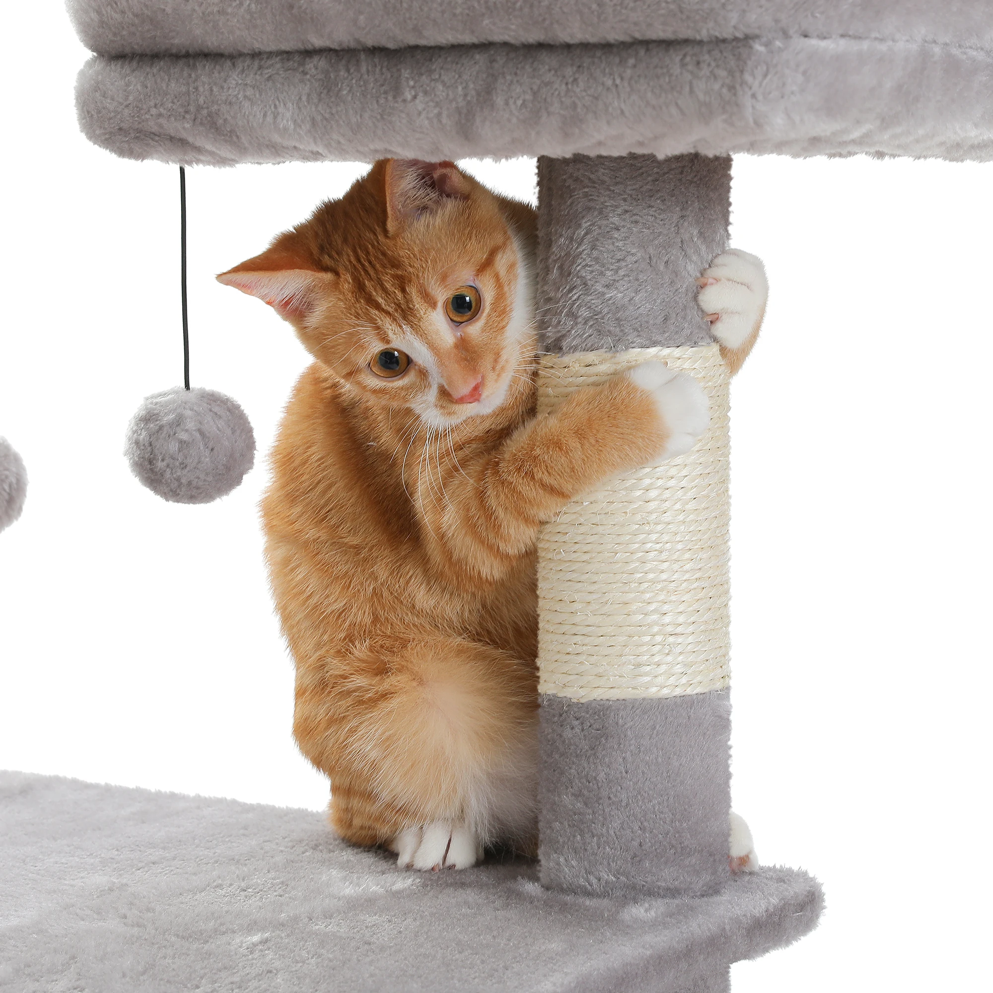Grand condo pour chats d'intérieur, arbre à chat avec hamac, griffoirs, 2 perchoirs