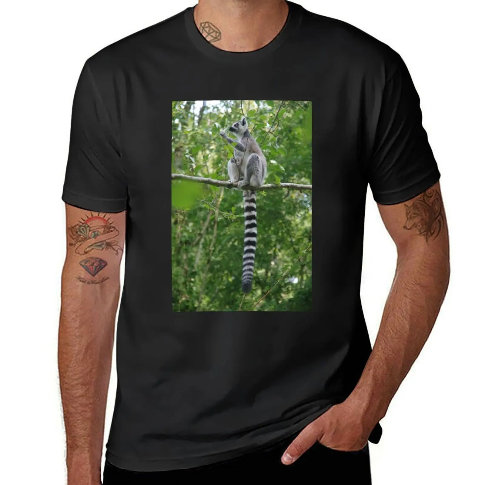 Ring-tailed Lemur T-Shirt customs Aesthetic clothing summer clothes men workout shirt