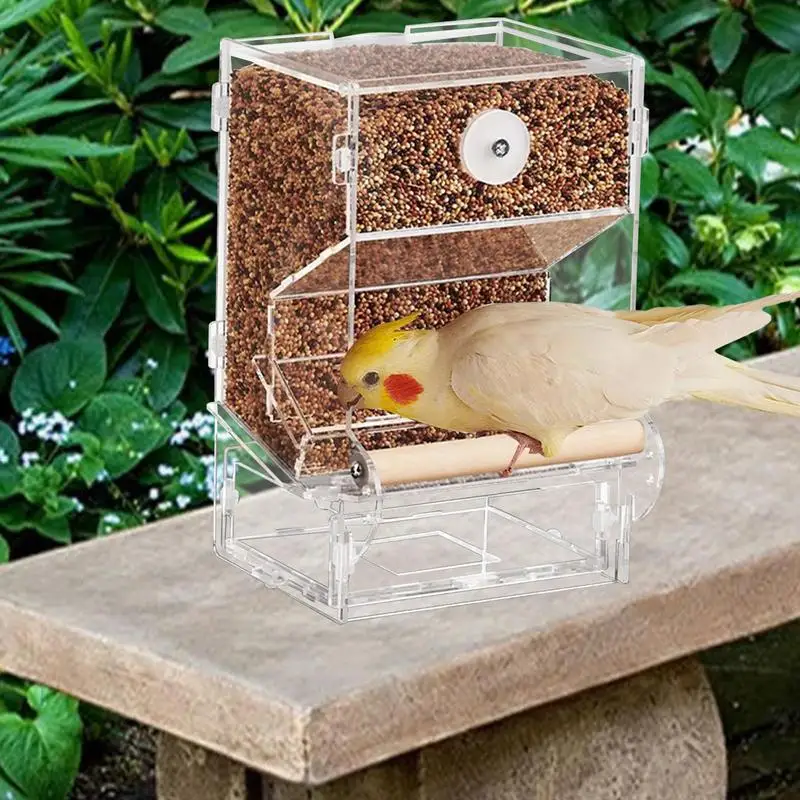 

Automatic Transparent Bird Feeder No Mess Transparent Bird Feeder Bird Feeding Tool With Integrated Pallets For Cockatiels