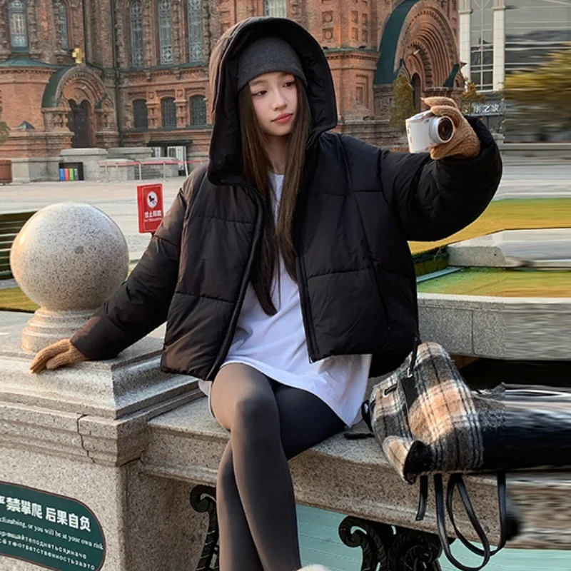 New Women's Cropped Down Cotton Jacket Trend Contrast Color Scarf Collar Cotton-Padded Coat Korean Versatile Puffer Bread Jacket