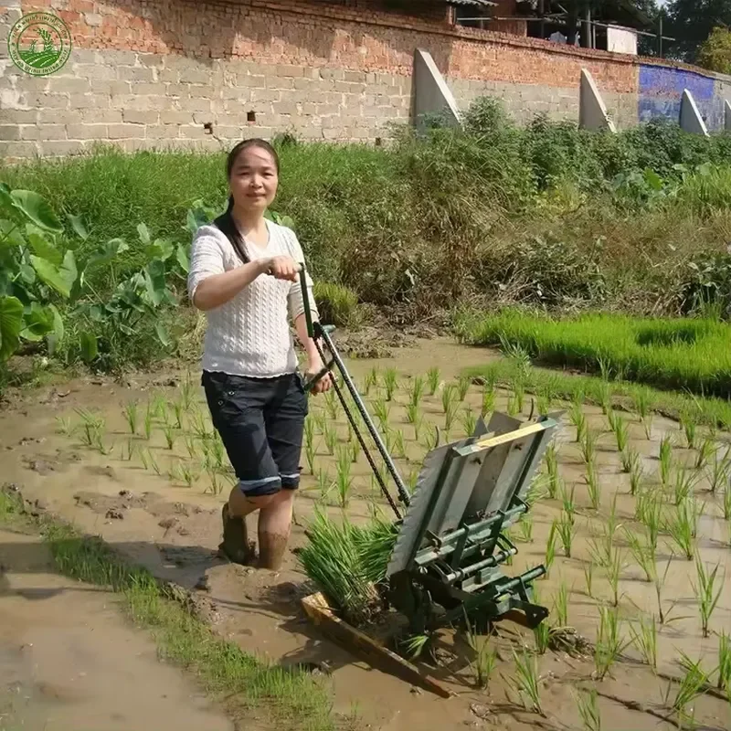 Easy to Operate Cheap and Efficient Small Manual 2 Row Rice Transplanter