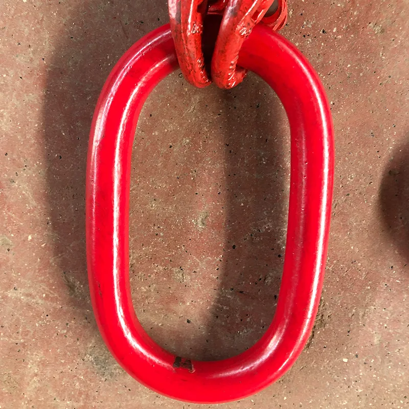 G80 manganese steel lifting chain sling lifting mold accessories