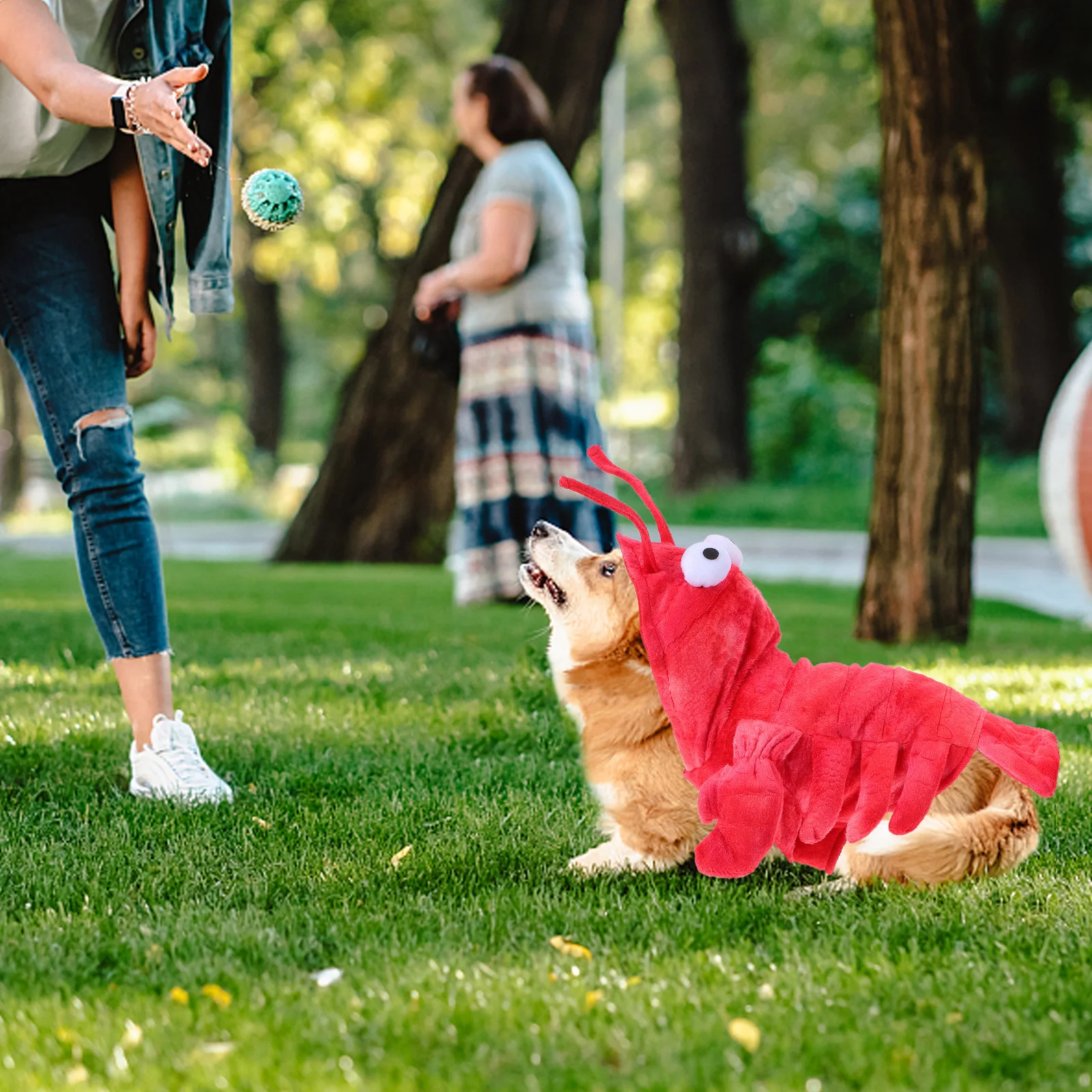 

Halloween Pet Lobster Costume Clothes Premium Material Soft Skin Friendly Easy to Wear Ideal for Photo Shoots Parties