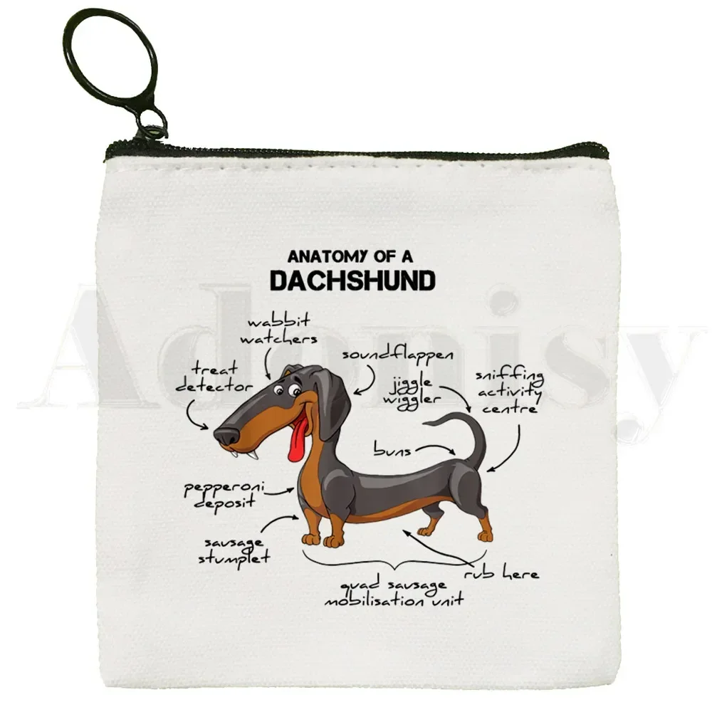 Anatomy Life Is Better With A Dachshund Funny Coin Purse Illustration Key Case Simple Small Cloth Bag New Creative Coin Purse