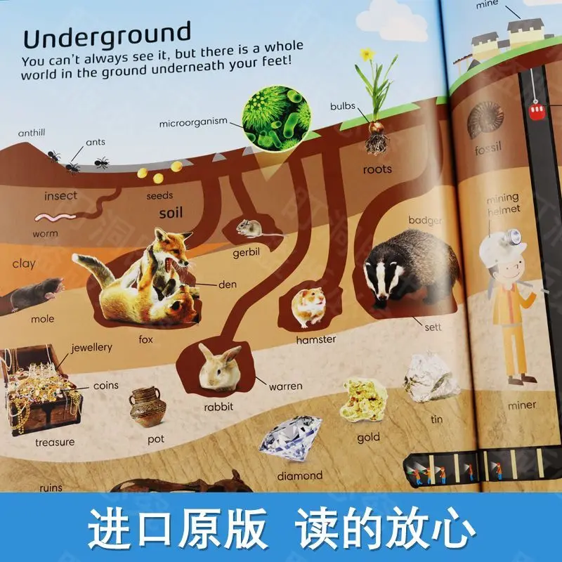 Original English DK1000 Popular Science Words 1000 Words STEM Popular Science Beginner's Dictionary Children's book