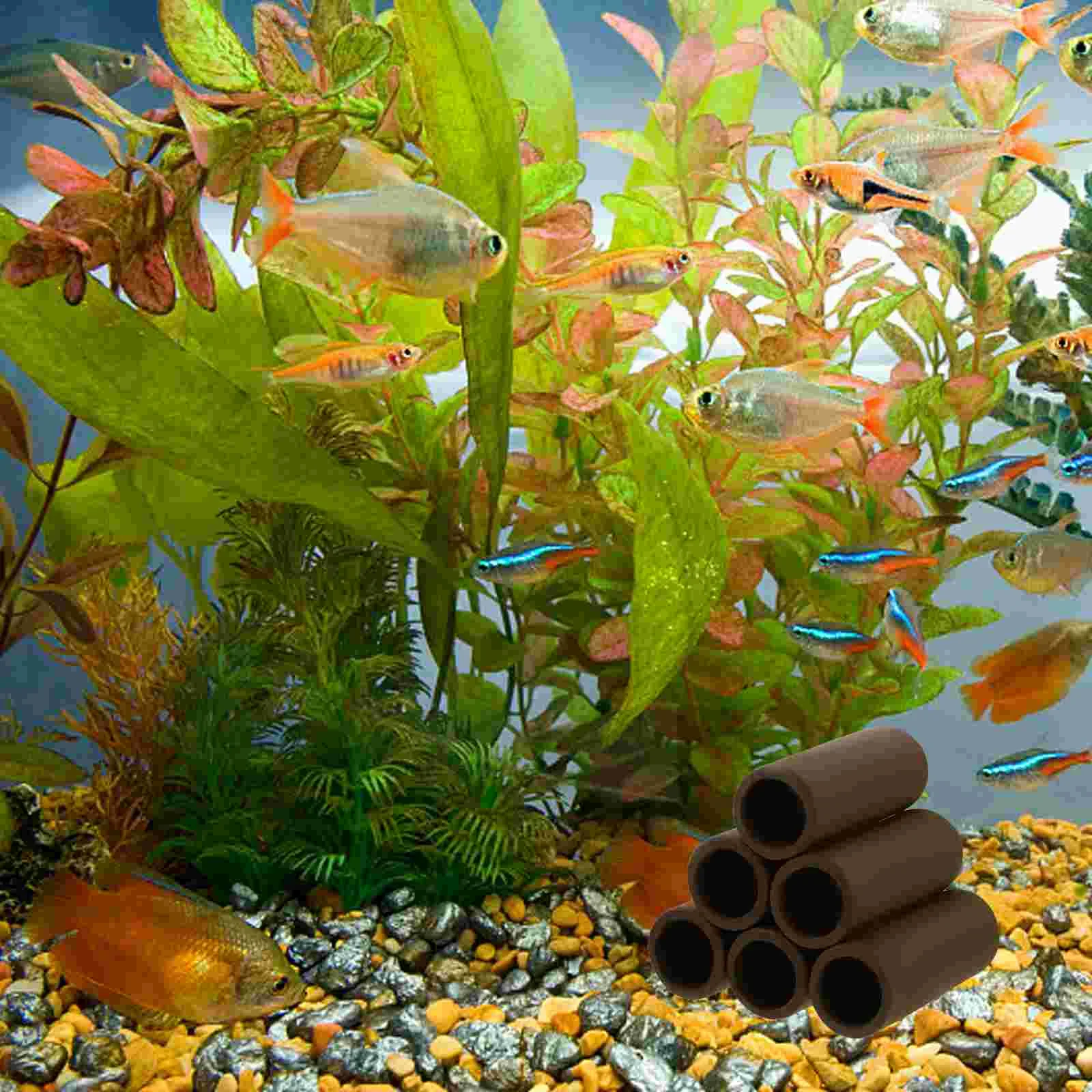 Aquarium Fish Cave Shelter Shrimp Ornaments Tank Habitat Hideaway Hideout Tube Salmon Diy Hiding Ceramic Wood Caves Pleco Logs