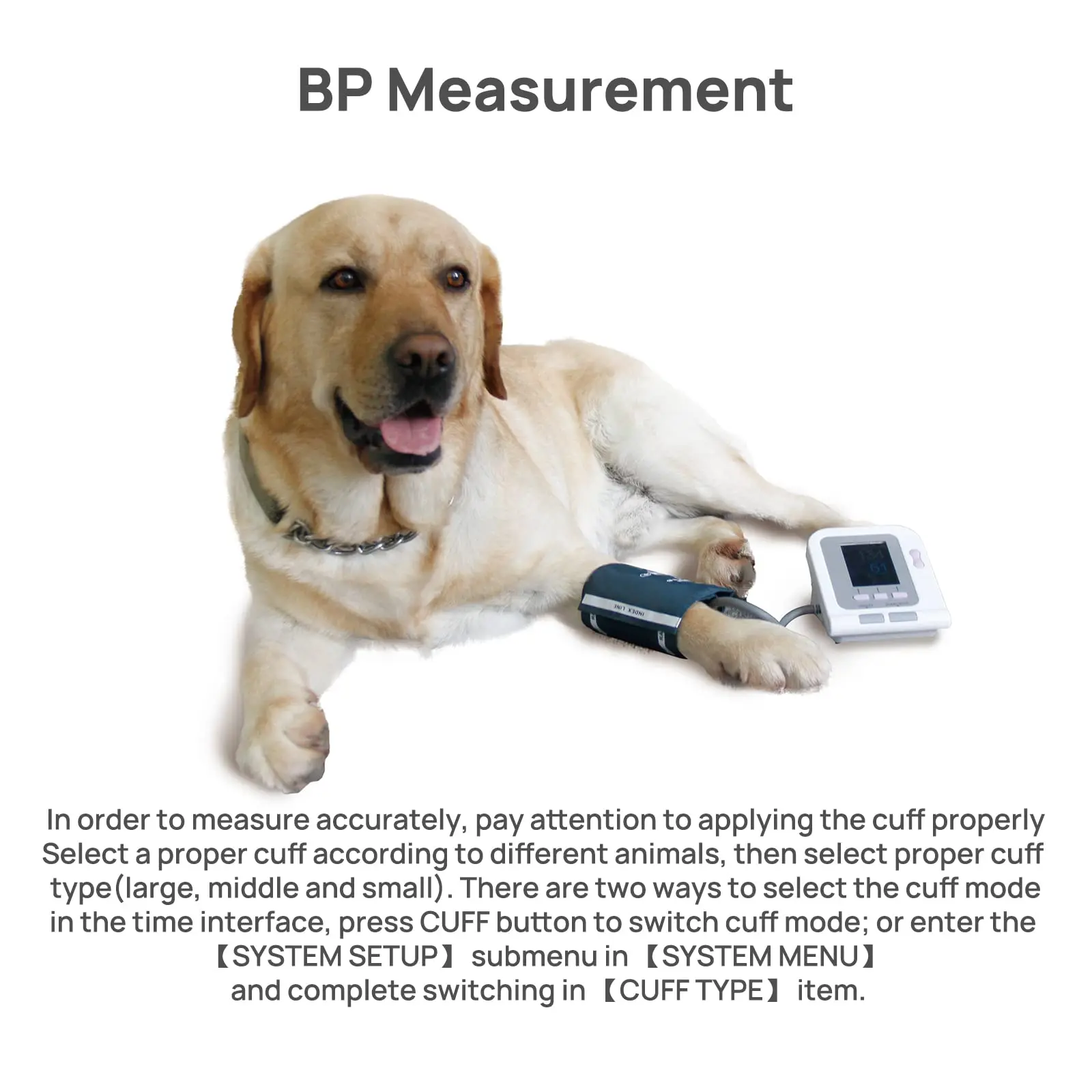 Veterinary Digital Blood Pressure Monitor for Pets  CONTEC08A-VET with 3 Cuff Sizes