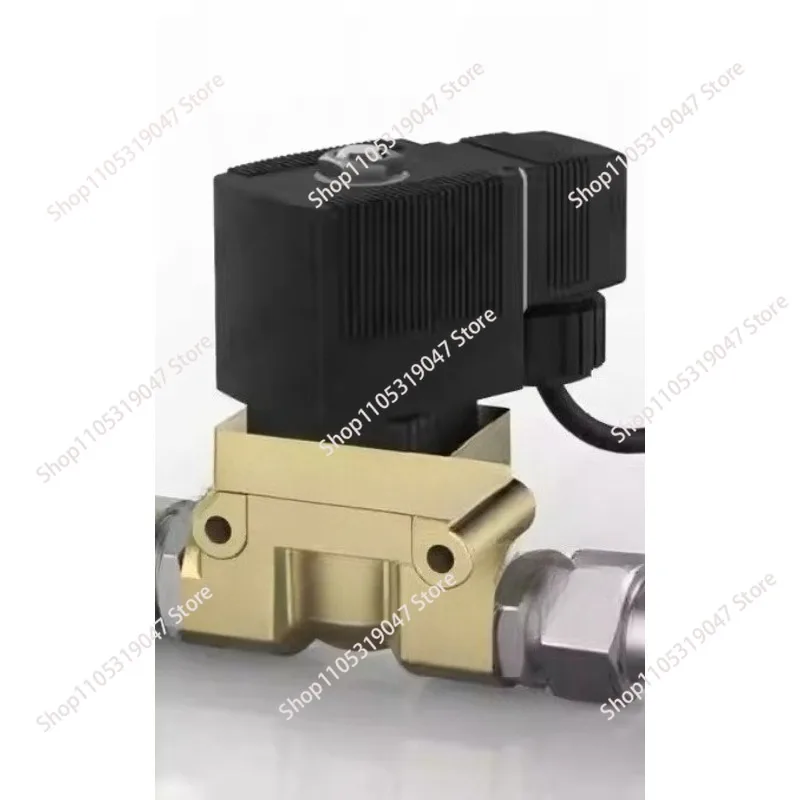 High pressure solenoid valve 5404-04 5231015 water valve air valve 2  3  4   6 minutes 1 inch 220v24