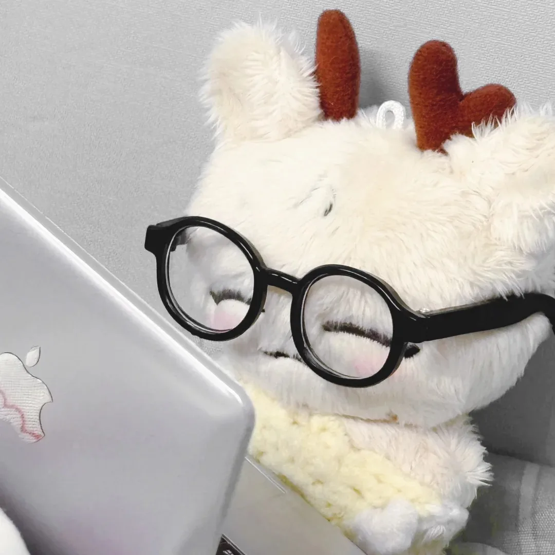 Stuffed 10Cm 17 for Jeonghan Cute Stuffed Plush Mini Doll Keychain for Fans Collection Adults Birthday Gift Xmas view 6