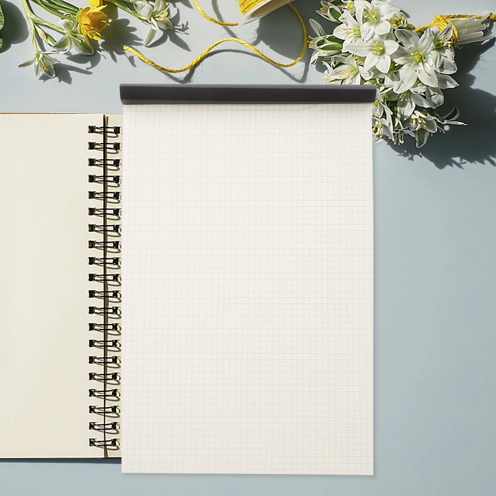 

Graph Paper Notebook Thickened Blank Grid Notebooks Memo Pad White Rectangle Miss