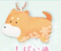 Shiba Inu