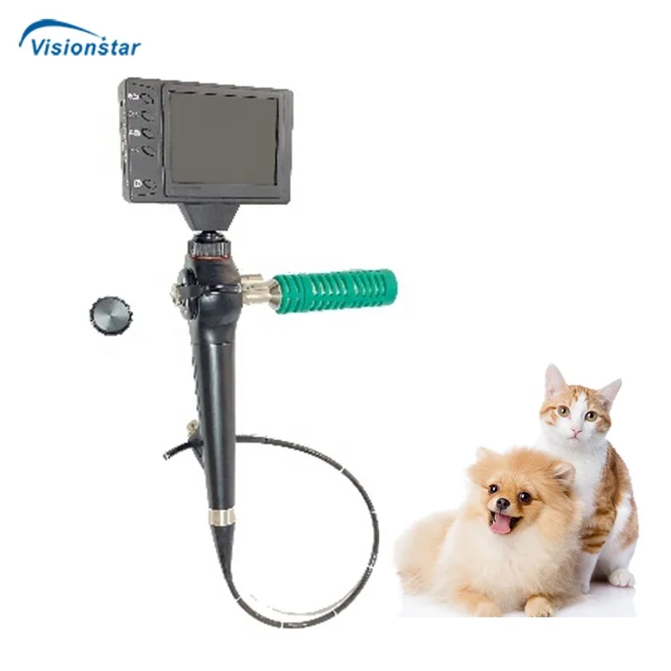 Professional Digital ENT Inspection Endoscope System Flexible Veterinary Endoscope