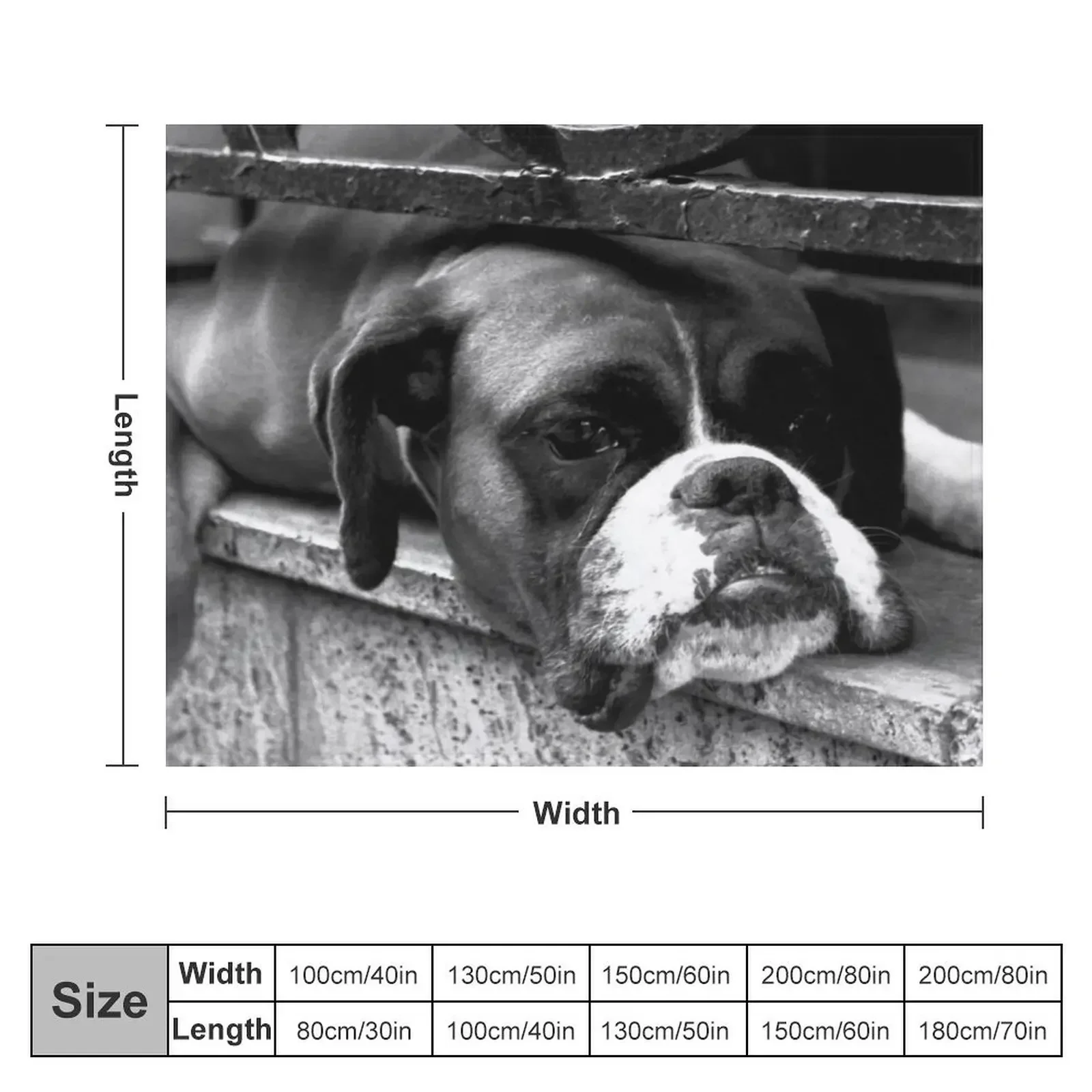 Boxer Dog On Windowsill Throw Blanket Large wednesday Blankets