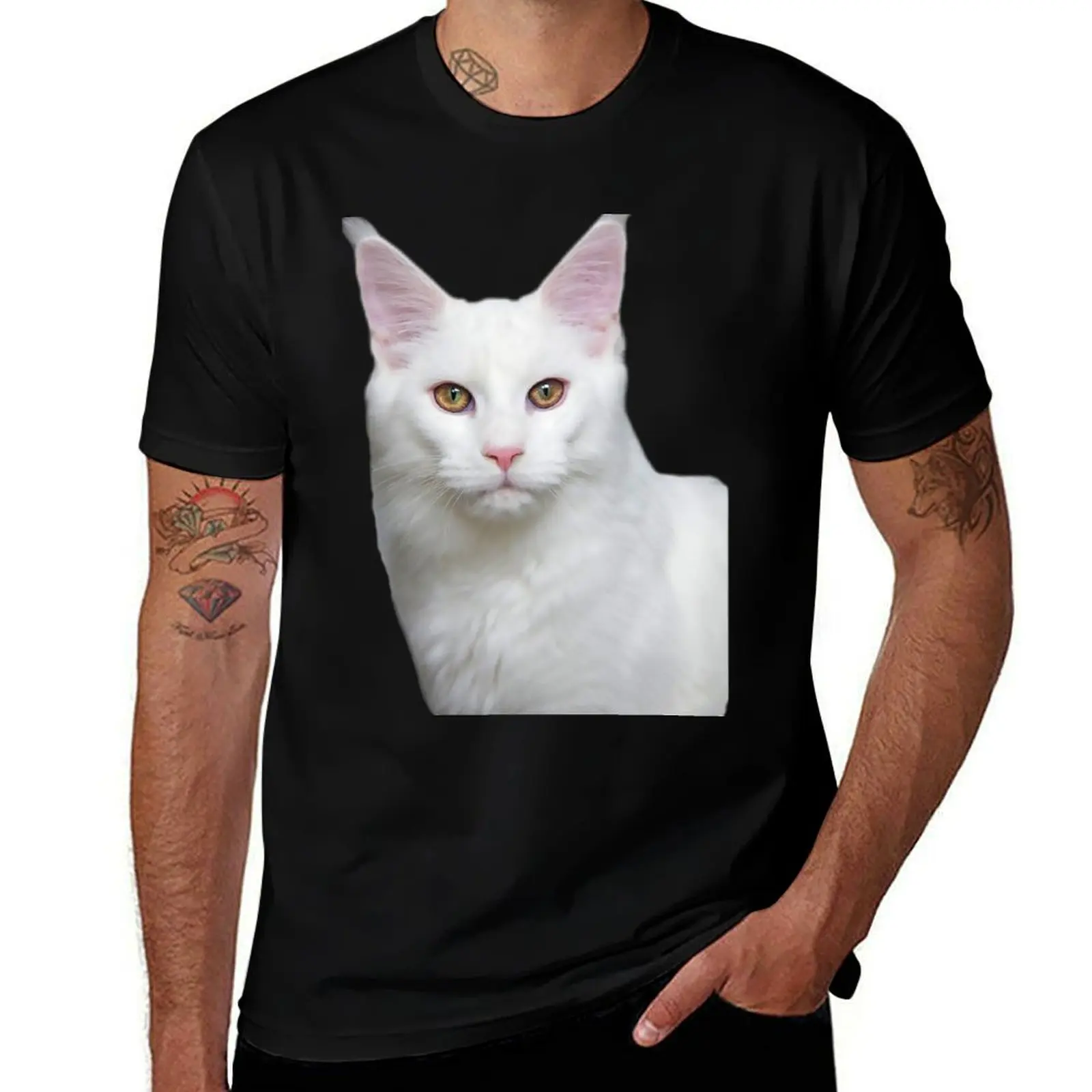 maine coon cat TSHIRT T-Shirt Basic Breathable Solid Color T-Shirt