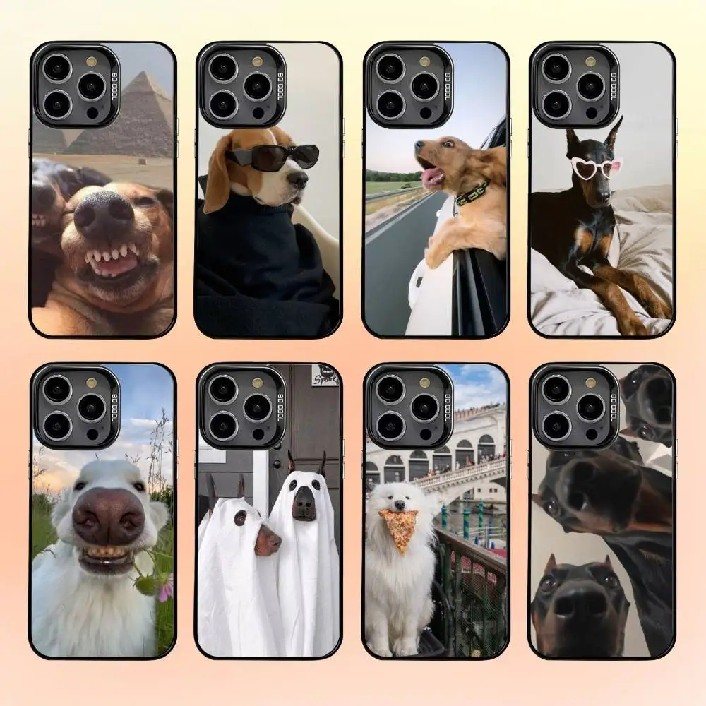 

Interesting little dog Phone Case For iPhone 16,15,14,13,12,11,Pro,MAX Gray Matte Silicone Black Cover