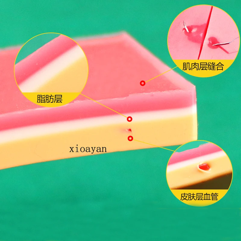 Simulation de suture de la peau en cuir et silicone, double légiide, fil enterré, module de formation, outil de pratique en plastique, équipement