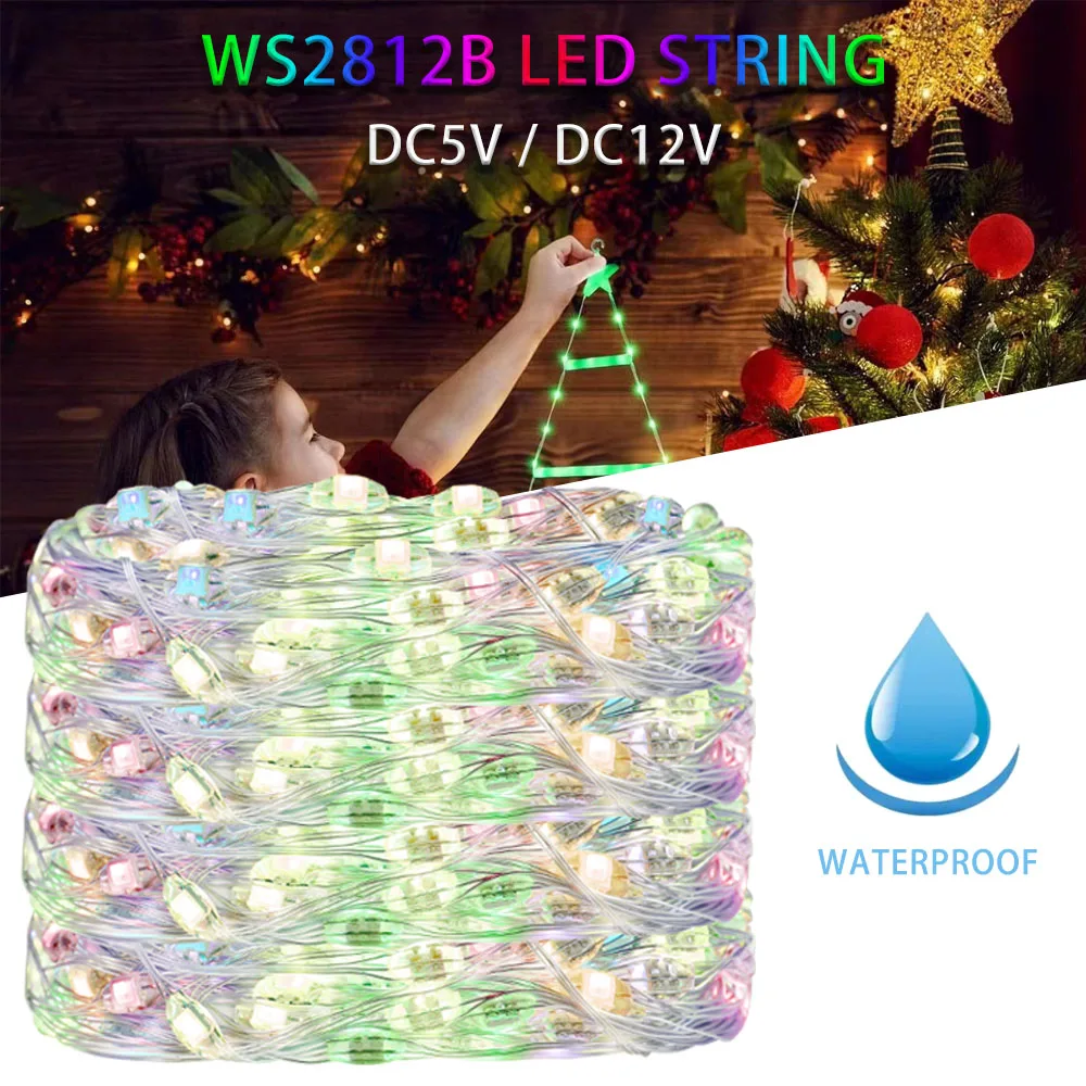 WS2812B RGBIC LED String Party Christmas Lights BT/WIFI WS2812 Music Individually Addressable LED String Outdoor Waterproof IP67