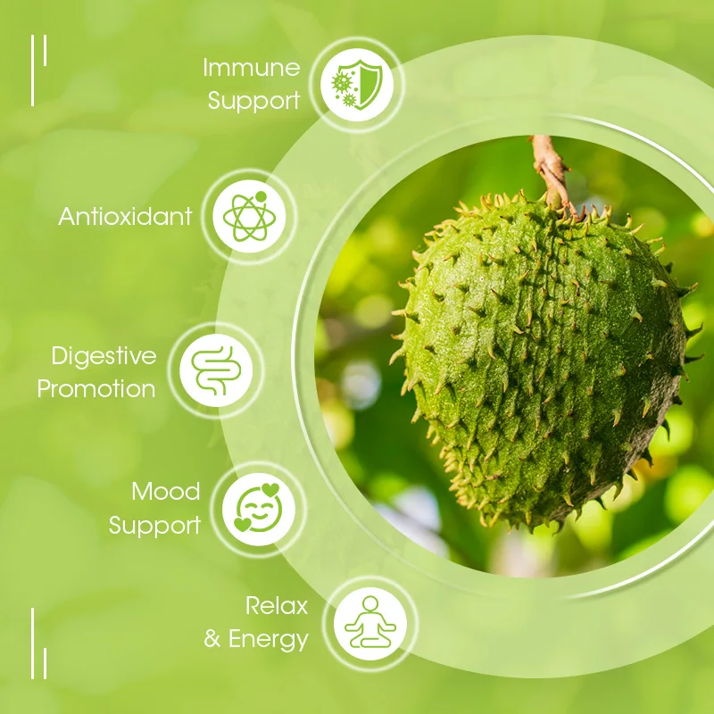 Soursop graviola capsules สำหรับเซลล์สนับสนุนและฟื้นฟู, เพิ่มภูมิคุ้มกัน, ผ่อนคลาย, ตับและการนอนหลับ, ความดีของสมุนไพร