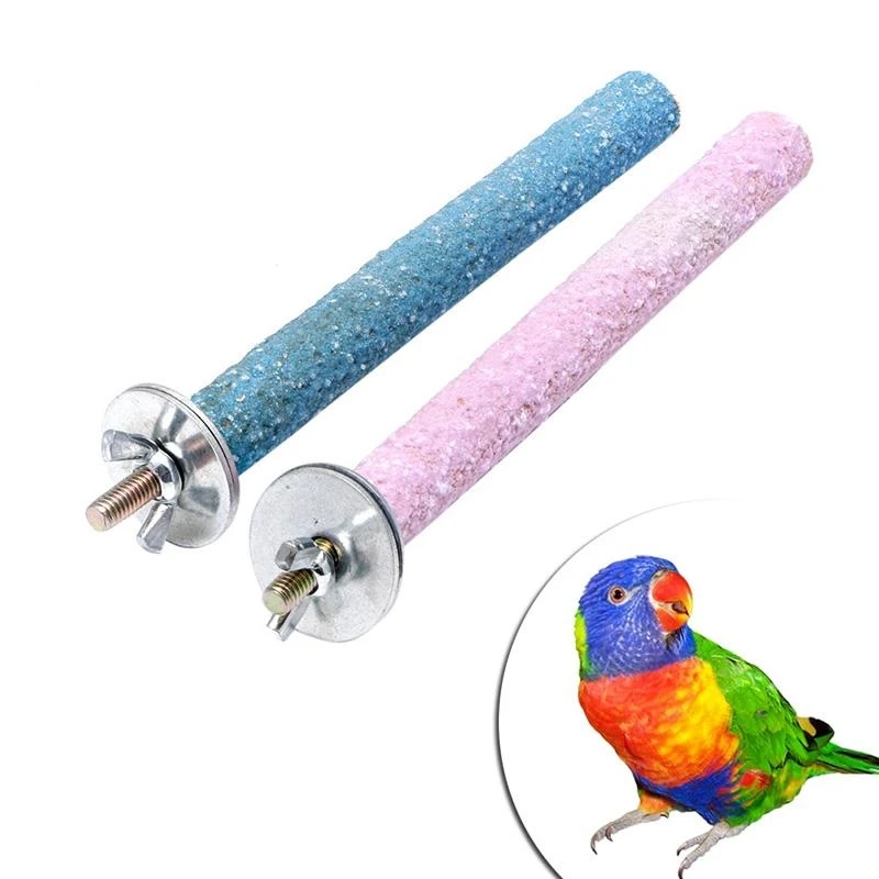 R1WA Bird Person Stand Parrot in legno Vergia in piedi base artigli base artiglio Surfaficata
