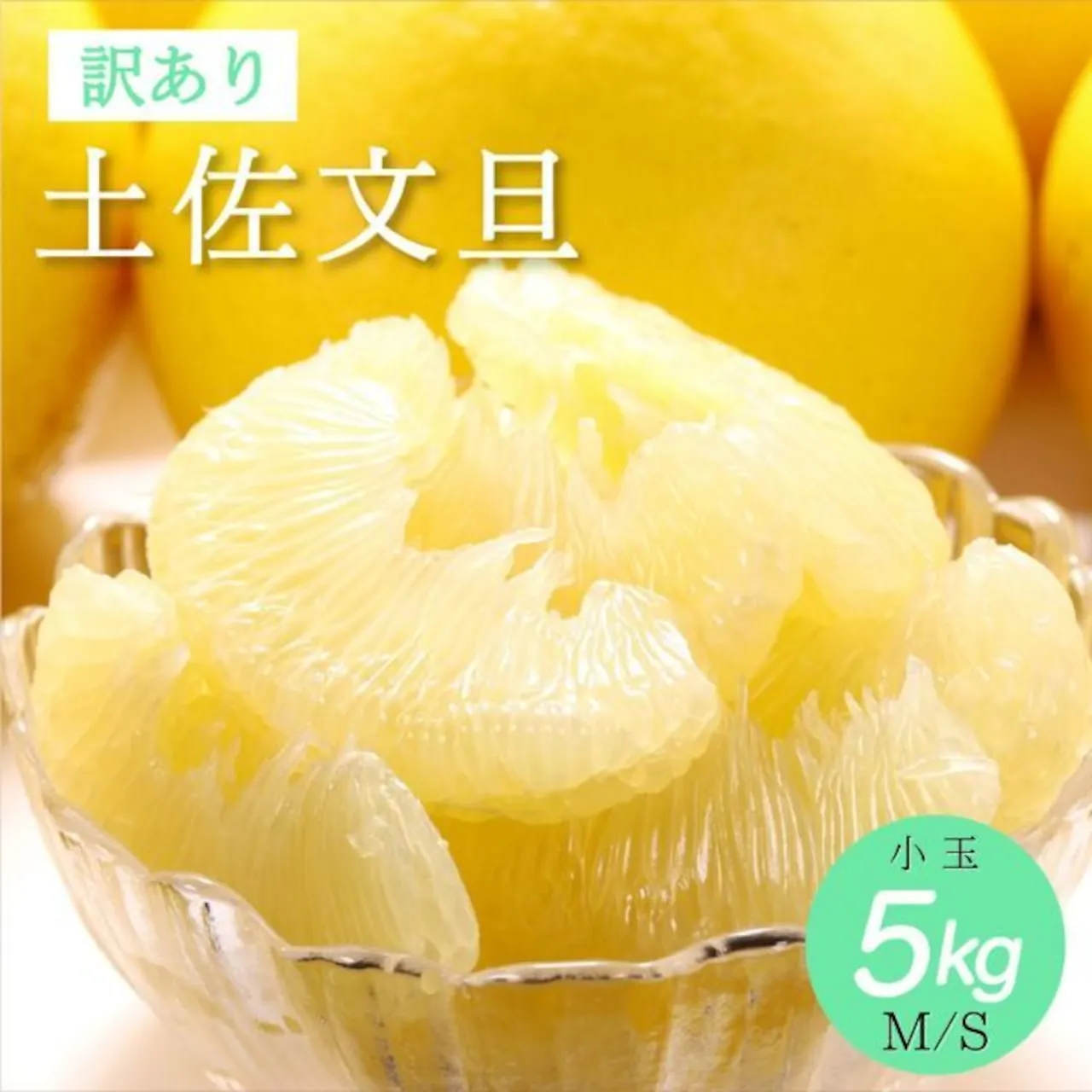 Citrus Fruit Tosa Buntan (Pomelo) 日本国内発送 ３サイズ 訳あり 高知県産 土佐文旦 柑橘類