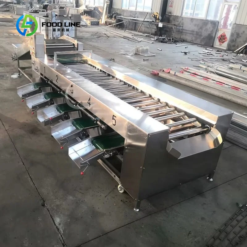 High Efficiency Blueberry Sorting Grading Drying Machine Core Motor Component For Farm Food Processing Customized