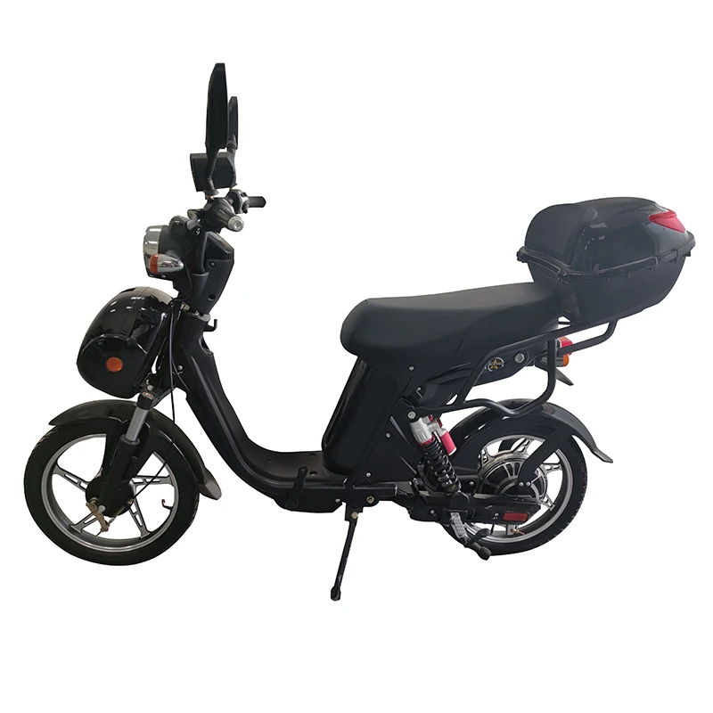 OEM 18 Inch Household Electric Bike Cargo Ebike электровелосипед 800W Lithium Battery Electric Bicycle Excursion E-bike