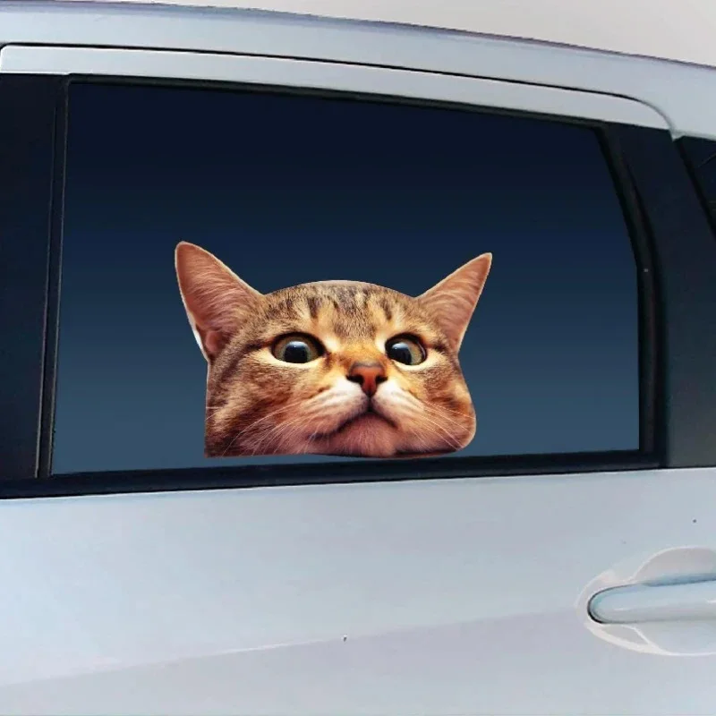 2-Pack Adorable Cat Window Vinyl Decal 13x9cm , Funny 3D Waterproof Sticker for Car, Truck, SUV, Laptop