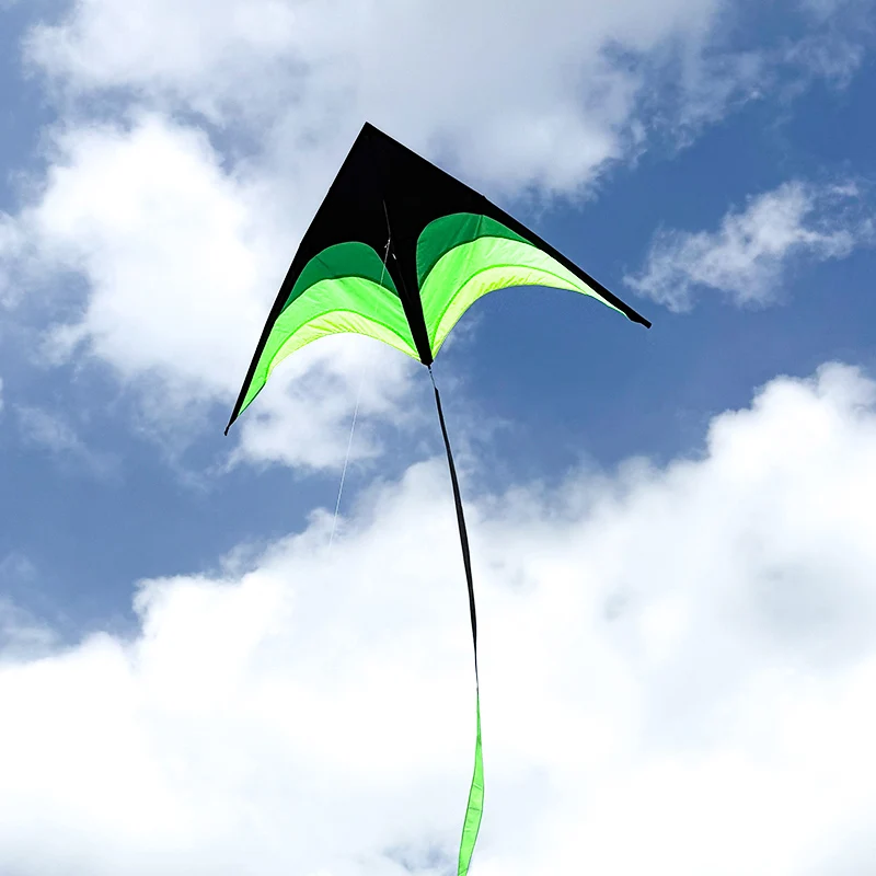 Paradise Bird Grote Delta-vlieger met 100 m lijn Buitenplezier Gemakkelijk te vliegen Buitenspeelgoed voor kinderen en volwassenen Verschillende specificaties