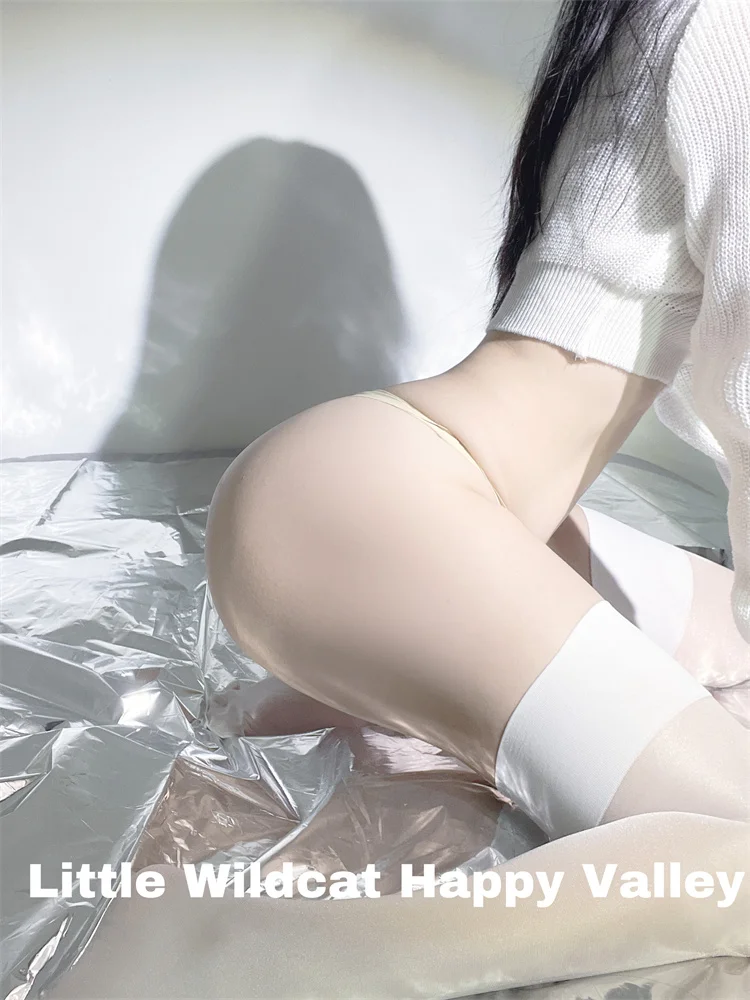 

Women Lace Top Stockings Black White Ultrathin Sheer Silk Over Knee Thigh High Hosiery Sexy Lingerie Sheer Stay Up Underwear New