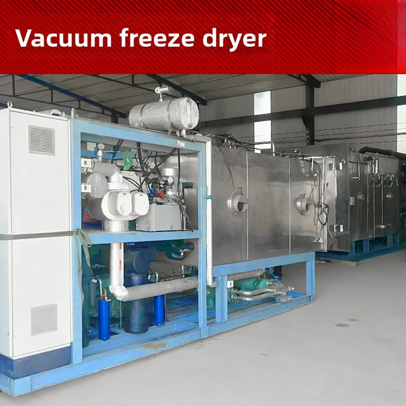 Apple Slice Strawberry Durian Food Pet Freezer Lemon Vacuum Freeze Dryer