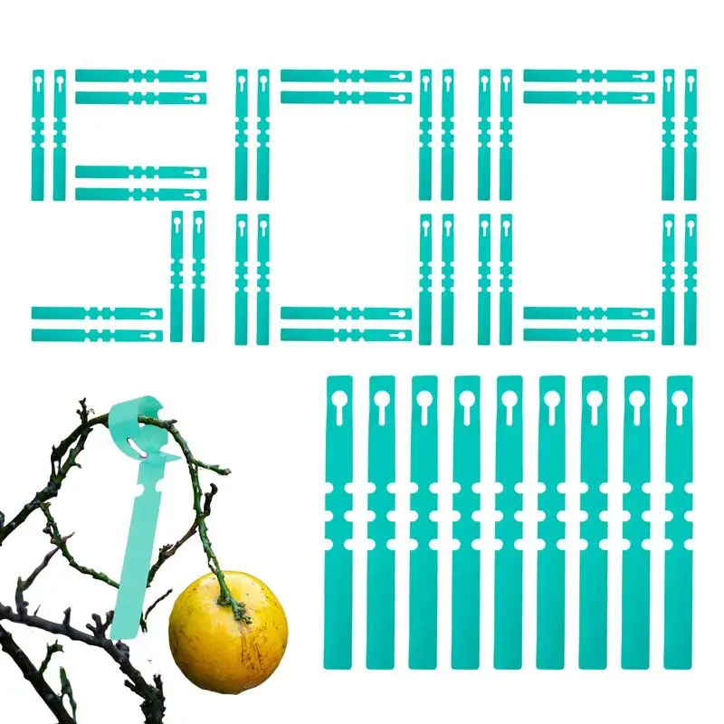 

Garden Labels Vegetable Plant Name Tags Outdoor Reusable Greenhouse Nursery Signs For Trees Vegetable Raised Bed Indoor Outdoor