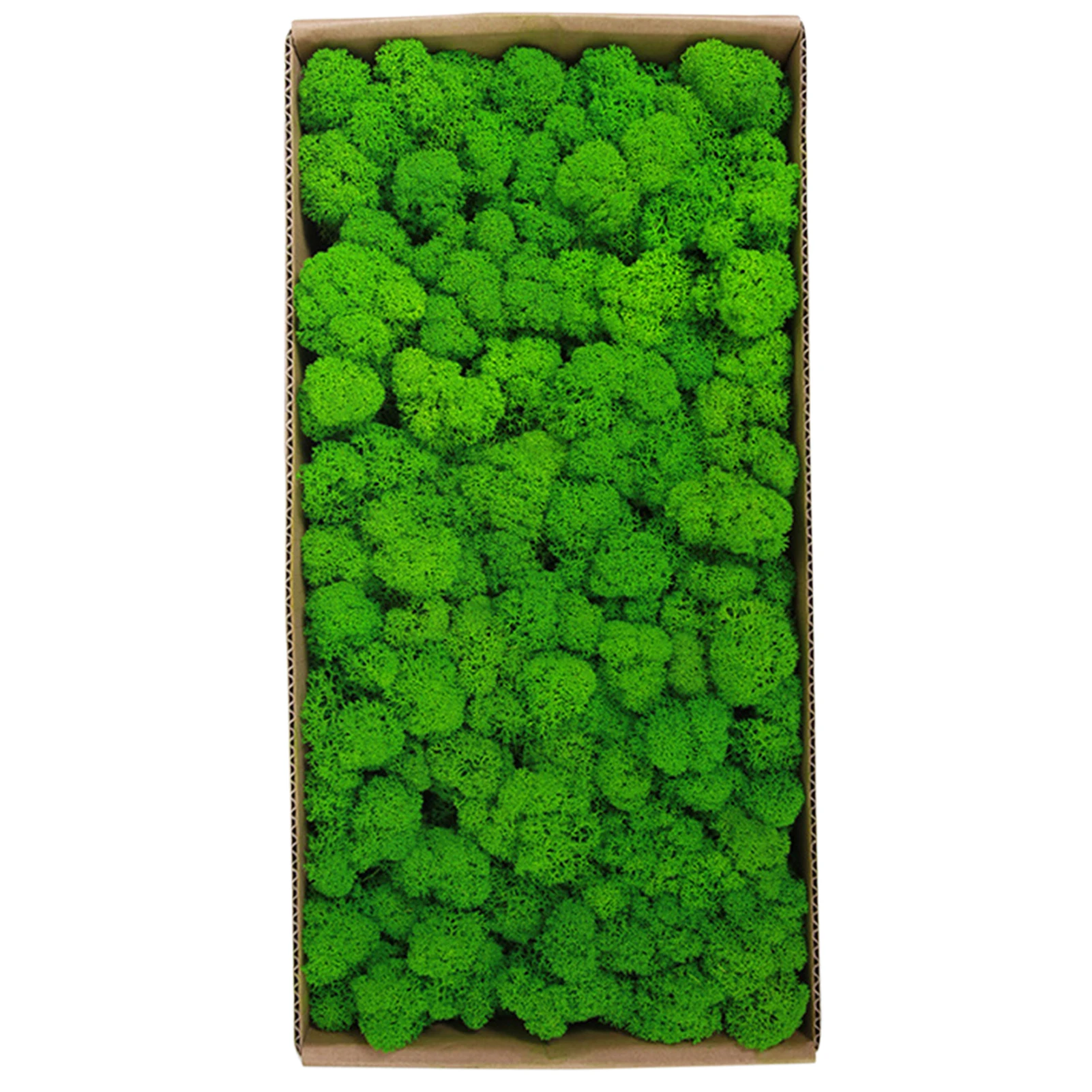 Preserved Moss Wall Decor Real Preserved Moss No Maintenance Required Naturally Preserved Moss for Home Wall Party Festivals