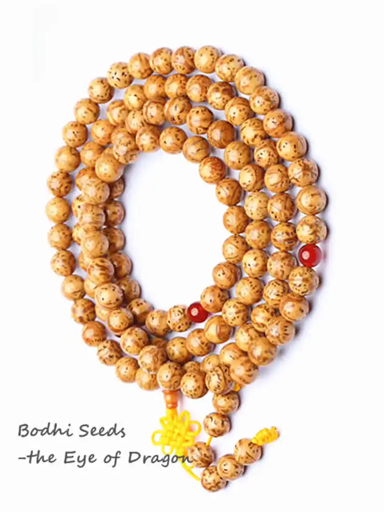 10PCS Real Nepal Bodhi Loose Beads Triangle Dragon Eye Bodhi for Prayer Malas TSB0153