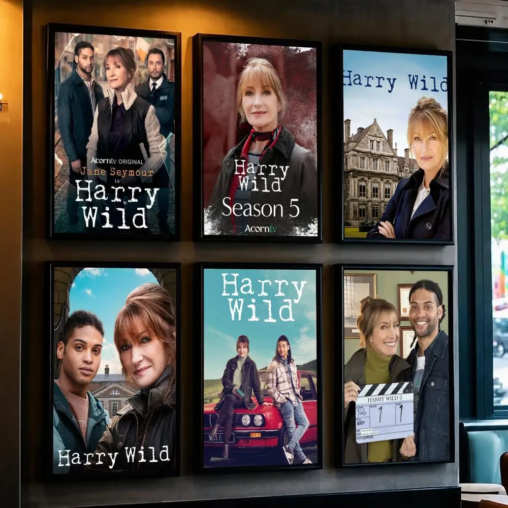 tv series H-Harry Wild-D Poster Decorative Wall Art Sticker for Cafe Office Bedroom and Living Room