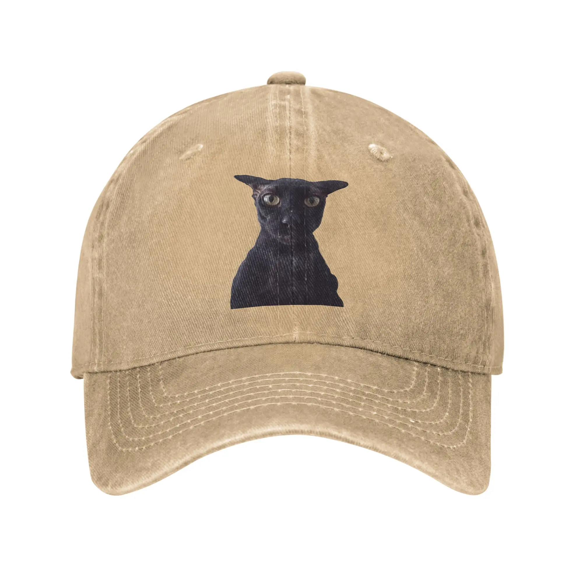 Larry the Cat Baseball Caps Classic Distressed Denim  Headwear Unisex Style Outdoor Workouts  Adjustable Hats Cap