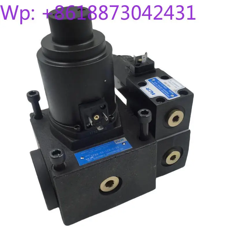 EFBG-03-125 EFGB-06-250 Overflow Flow Control Double Proportional Valve for In-jection Molding Machine