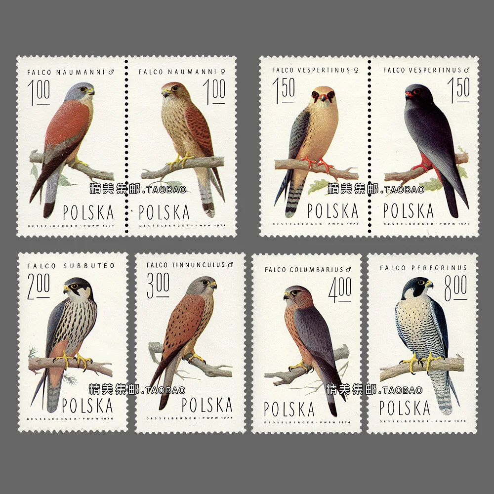 Sellos postales de Polonia nuevos y reales, postales Y1974 Raptor Birds 8, todos los sellos nuevos MNH, sellos postales coleccionables, Material para álbum de recortes