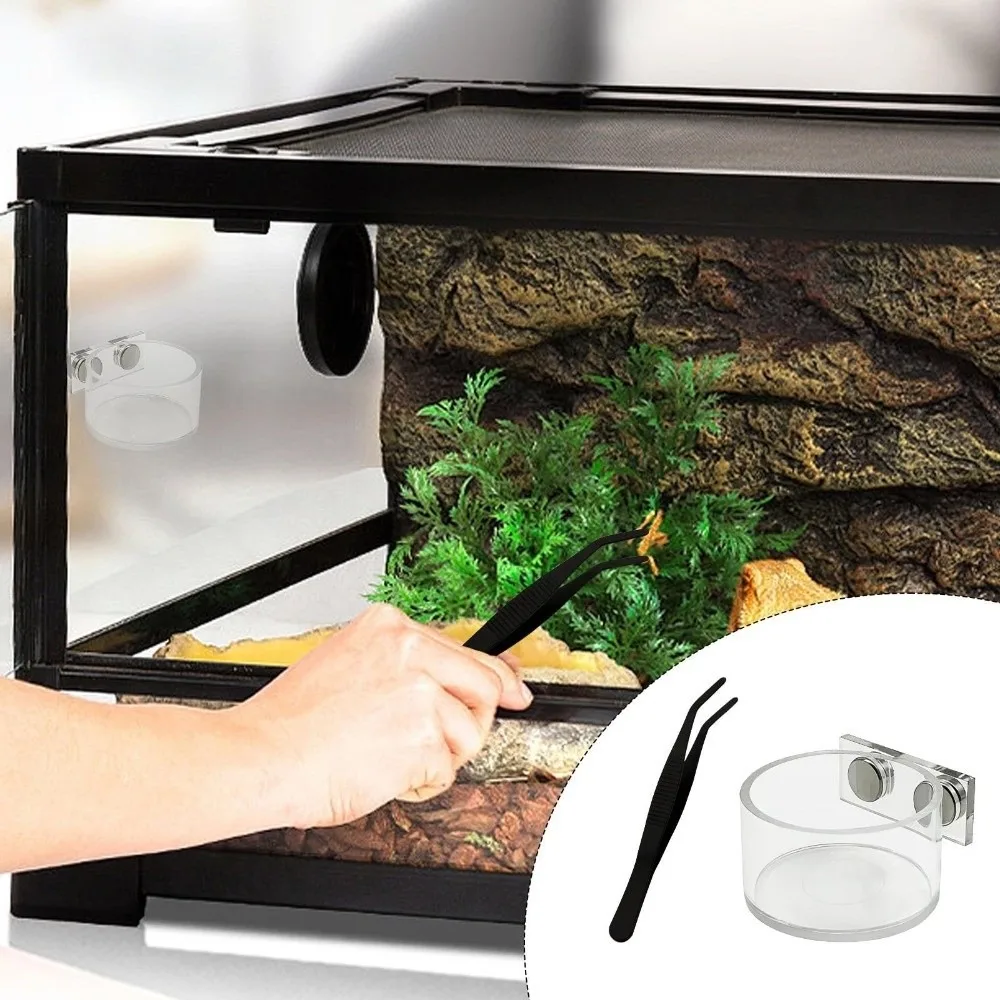 Quality Small Bowl Set Magnetic Feeding Dish Magnetic Design with Tweezers Water Food Dispenser Terrarium Dish Terrarium Use