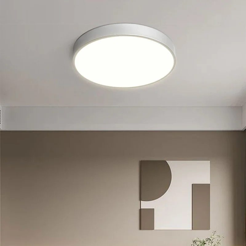 

Modern Corridor Led Ceiling Light Lamps for Bedroom Aisle Balcony Living Room Bathroom Stuy Home Decor Indoor Lighting Slivery