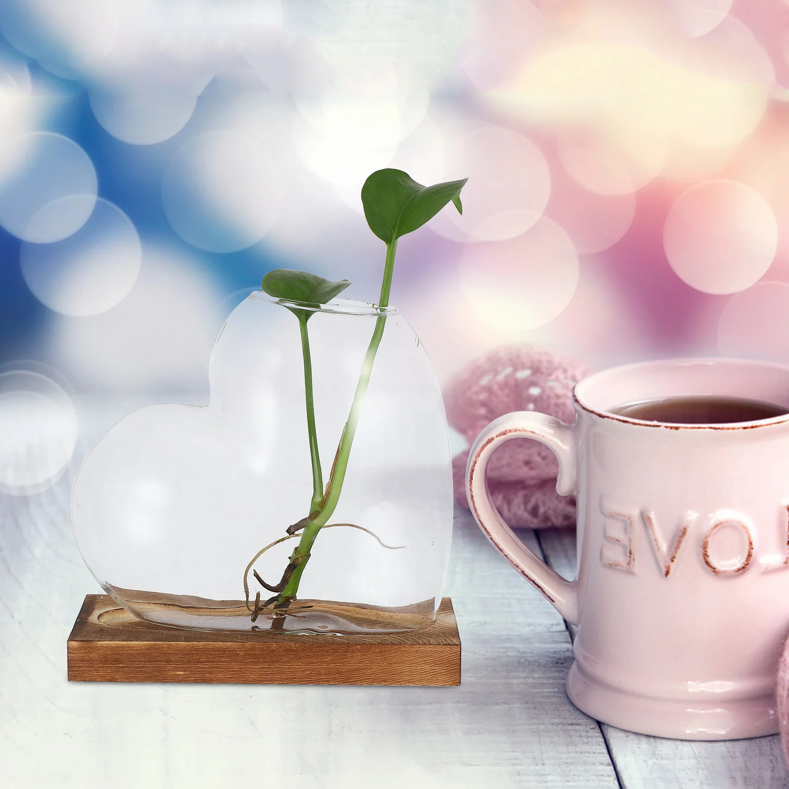 

Transparent Hydroponic Vase Wooden Base Compact Design for Desks Shelves Windowsills Home Office Plant Propagation