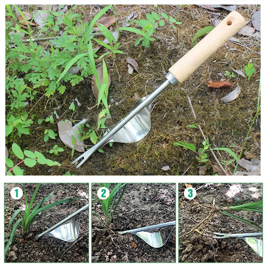 Alat Penyiang Gulma Manual dar - Weed Puller ulasan dan harga