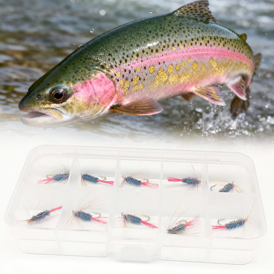 10 Teile/schachtel Fliegenfischen Fliegen Trockenfliegen Lockt Redtail Trockenköder Forelle Künstliche Nymphen Köder für Angeln Forelle/Barsch köder – Detail 11