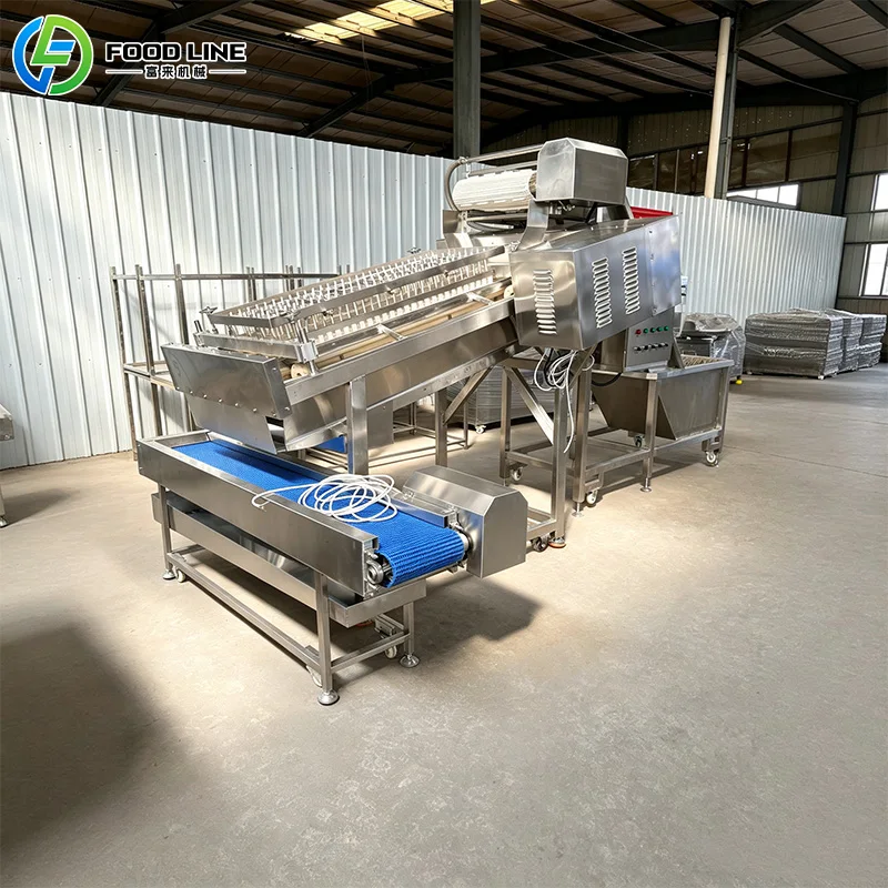 Customized Commercial Shrimp Shelling Plant Shrimp Processing Factory Equipment Prawn Processing Machinery