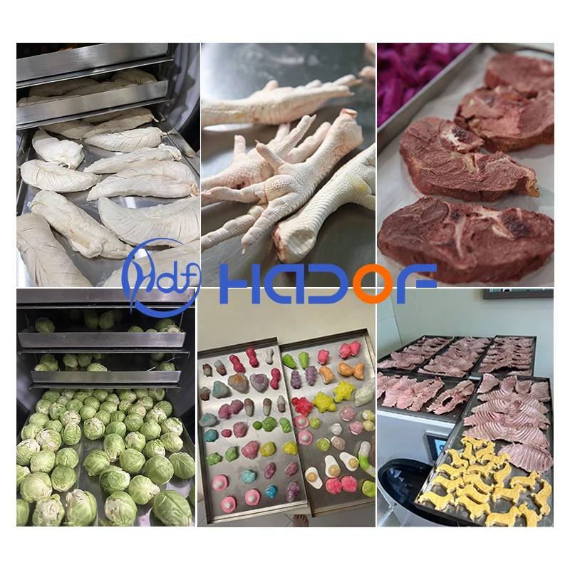 Commercial 8Kg 15Kg 20Kg 25Kg/24Hour Freeze Dryer Lyophilizer Freeze Dryer Machine
