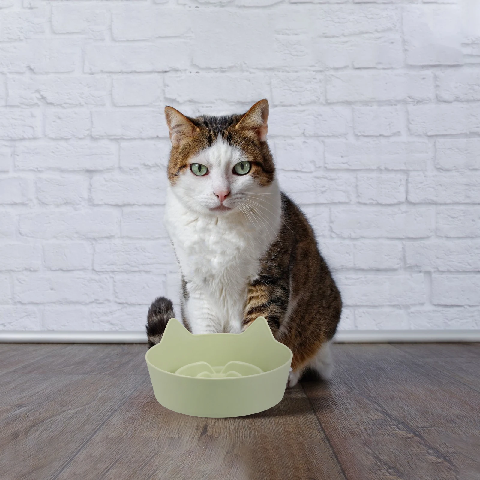 

Cat Dog Food Bowl Non Slip Shallow Cute Ear Plastic Wide Candy Color Slow Feeder Plate for Small Animals Puppies Rabbit Kittens