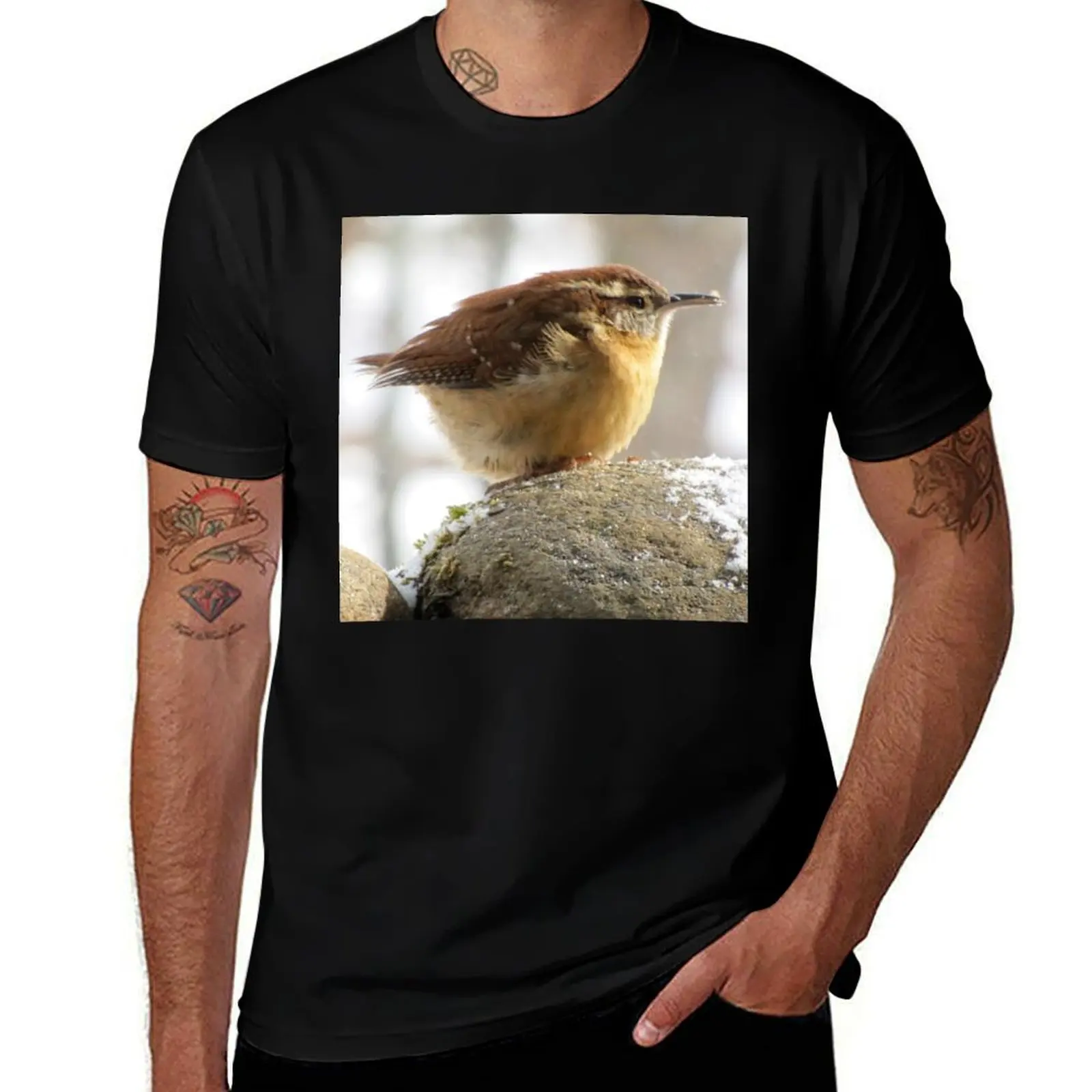 

Carolina Wren on coldest day since 1917 T-Shirt luxury t-shirt man clothes graphics fruit of the loom mens t shirts