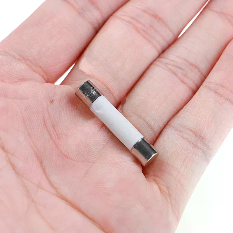 10 Pcs Microwave Ceramic Fuse Electric 20A 250V Home Supplies DIY 6x30mm